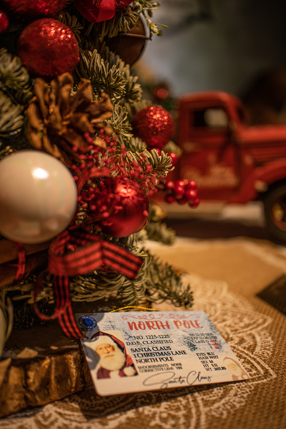 Santa Sleigh Metal Flying License