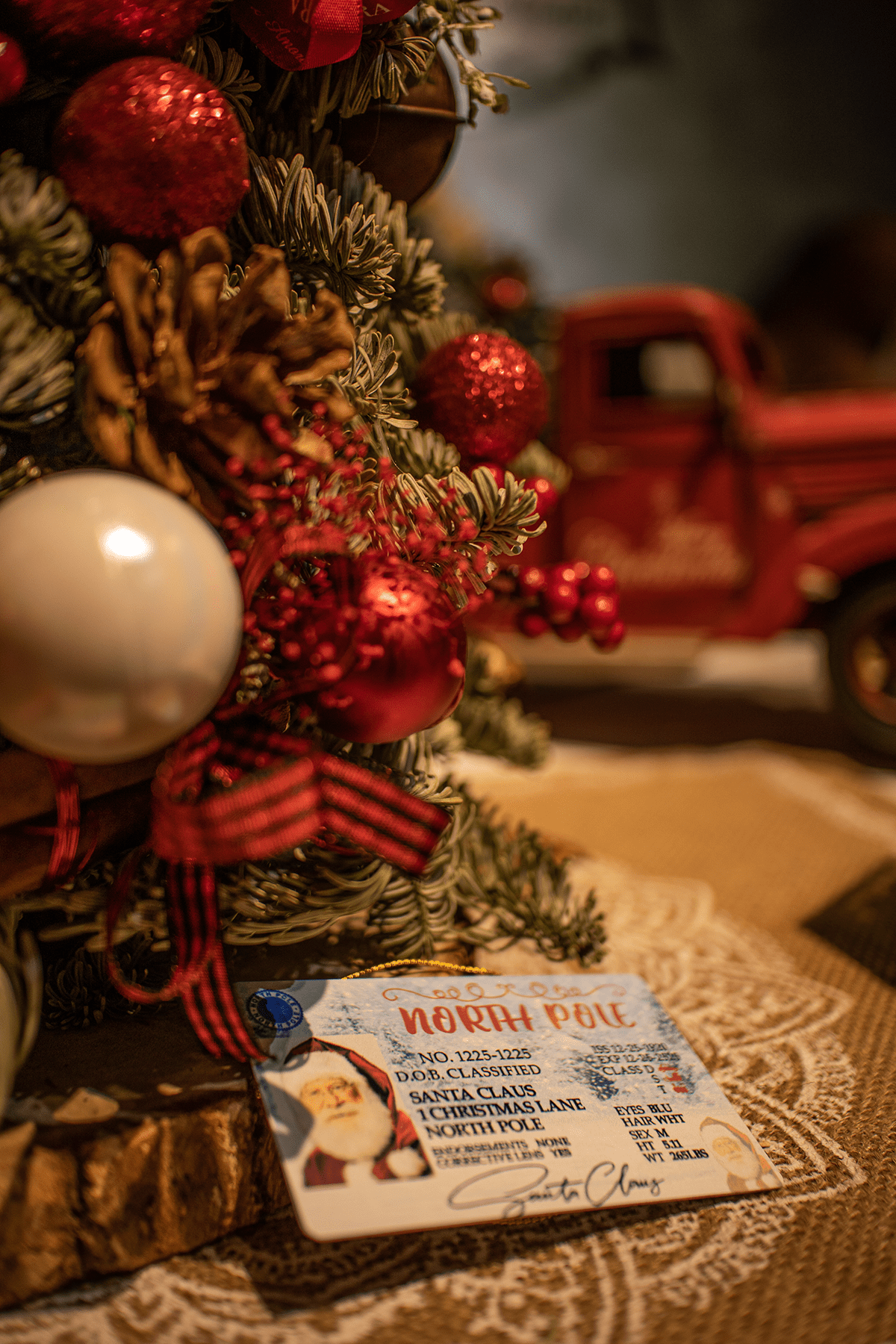 Santa Sleigh Metal Flying License - MODA FLORA Santa's Workshop