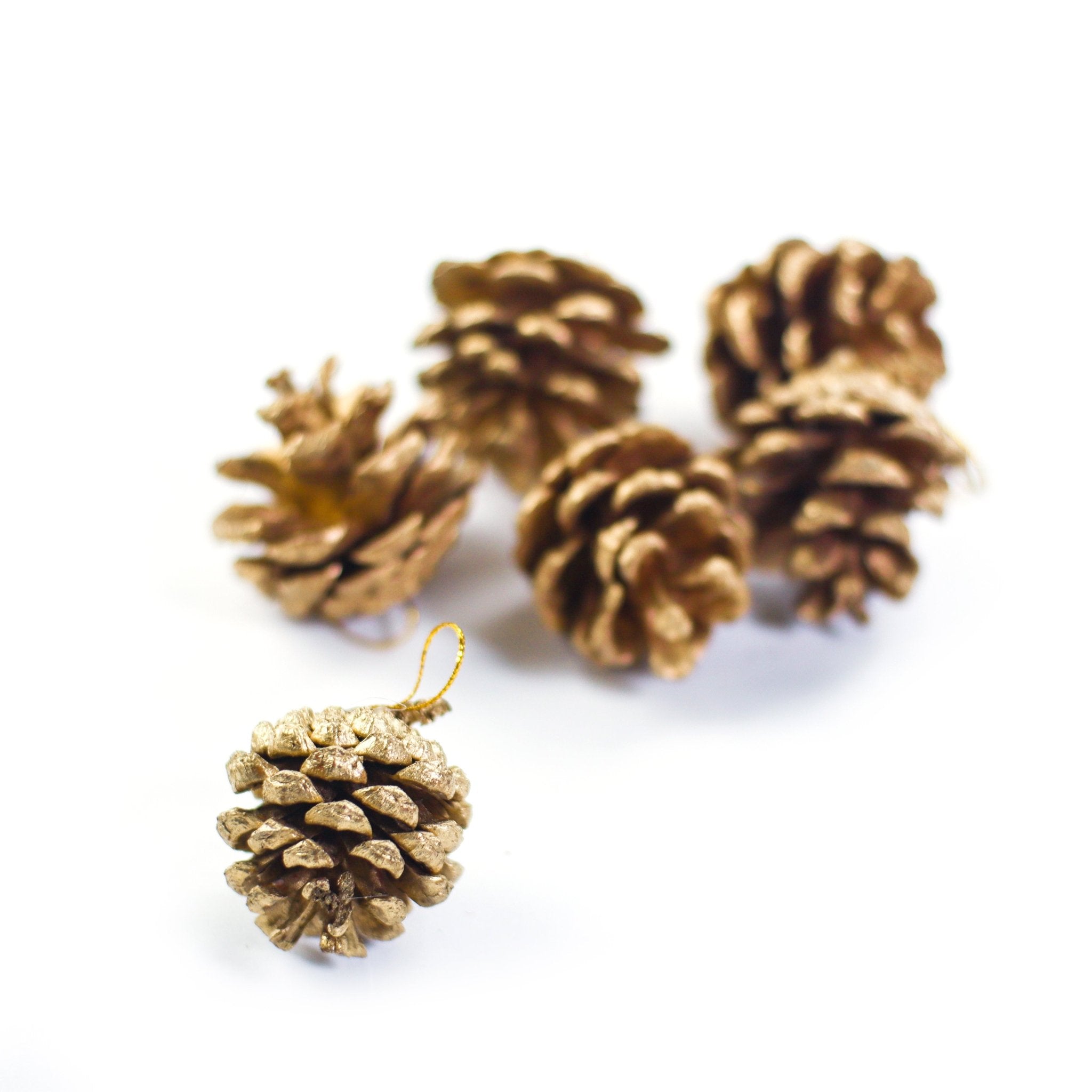 Gold Painted Pine Cones with hanging string 6pcs - MODA FLORA Santa's Workshop