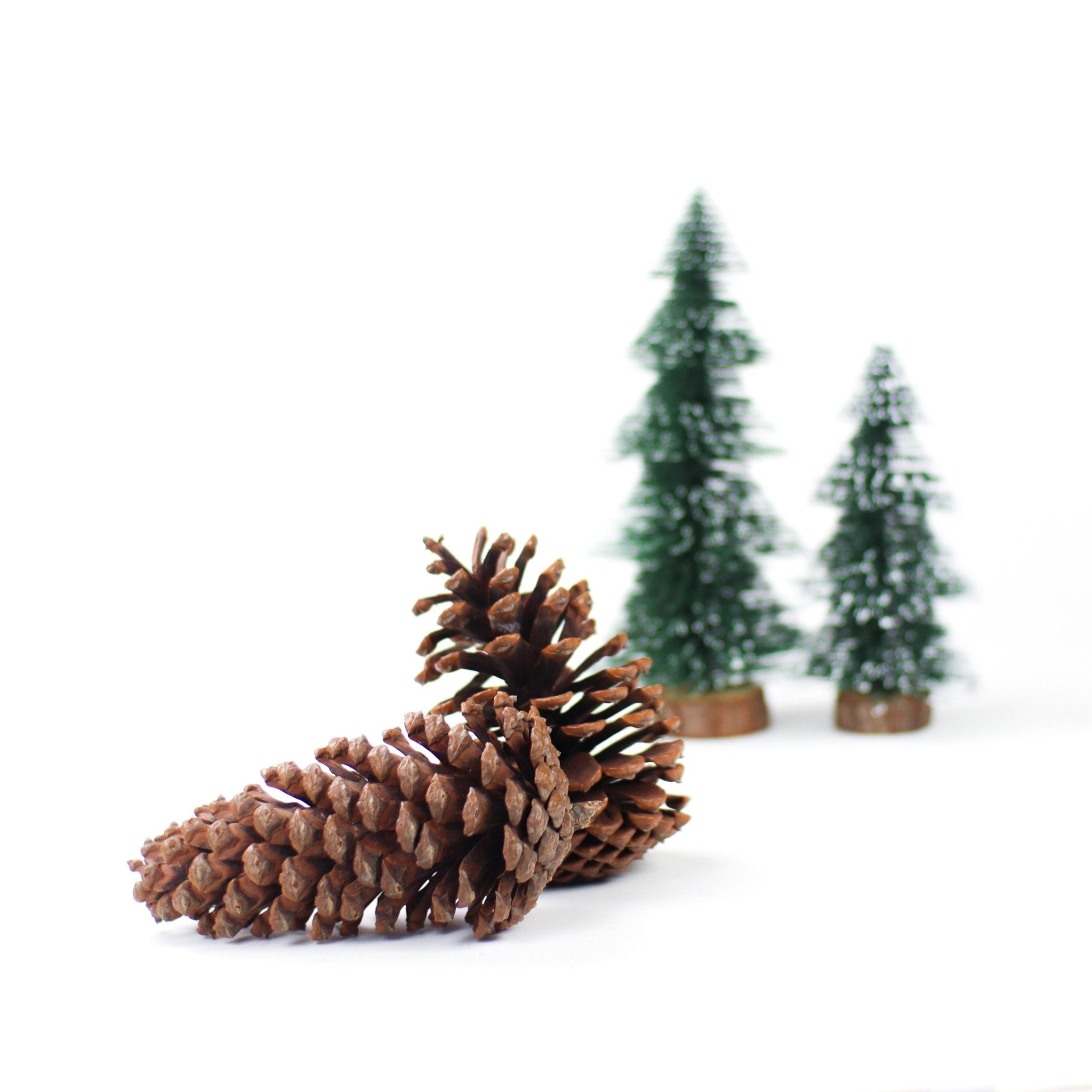 56cm Faux Pine with Pine Cone and Red Berries Pick 00301