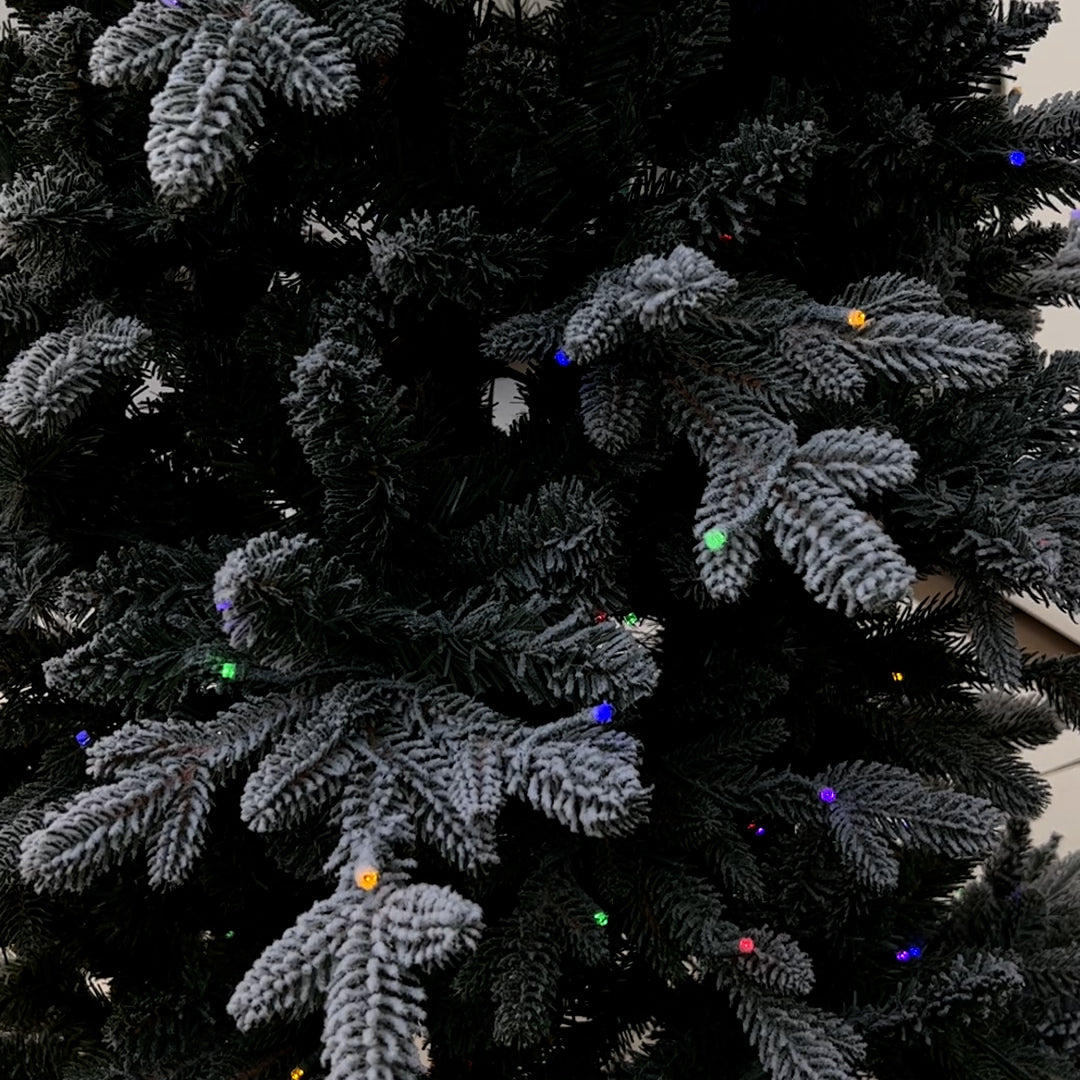 5Ft Flocked Fraser Fir Artificial Christmas Tree with 250 warm white & multi color led Lights FAGHL5