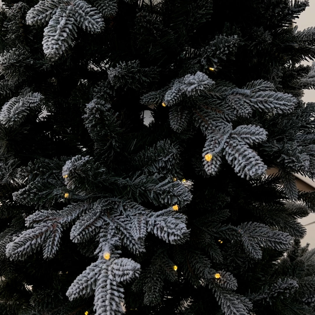 5Ft Flocked Fraser Fir Artificial Christmas Tree with 250 warm white & multi color led Lights FAGHL5