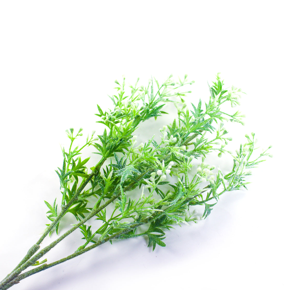 Faux Velvet Green leaves with berries 70cm 1pc