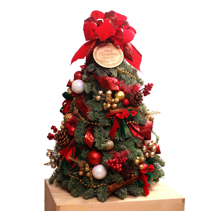 30/40/50cm Signature Mini Fresh Christmas Tree Red with lights 2022