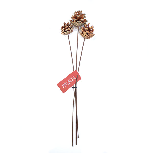 Pine cone with stick 3pcs