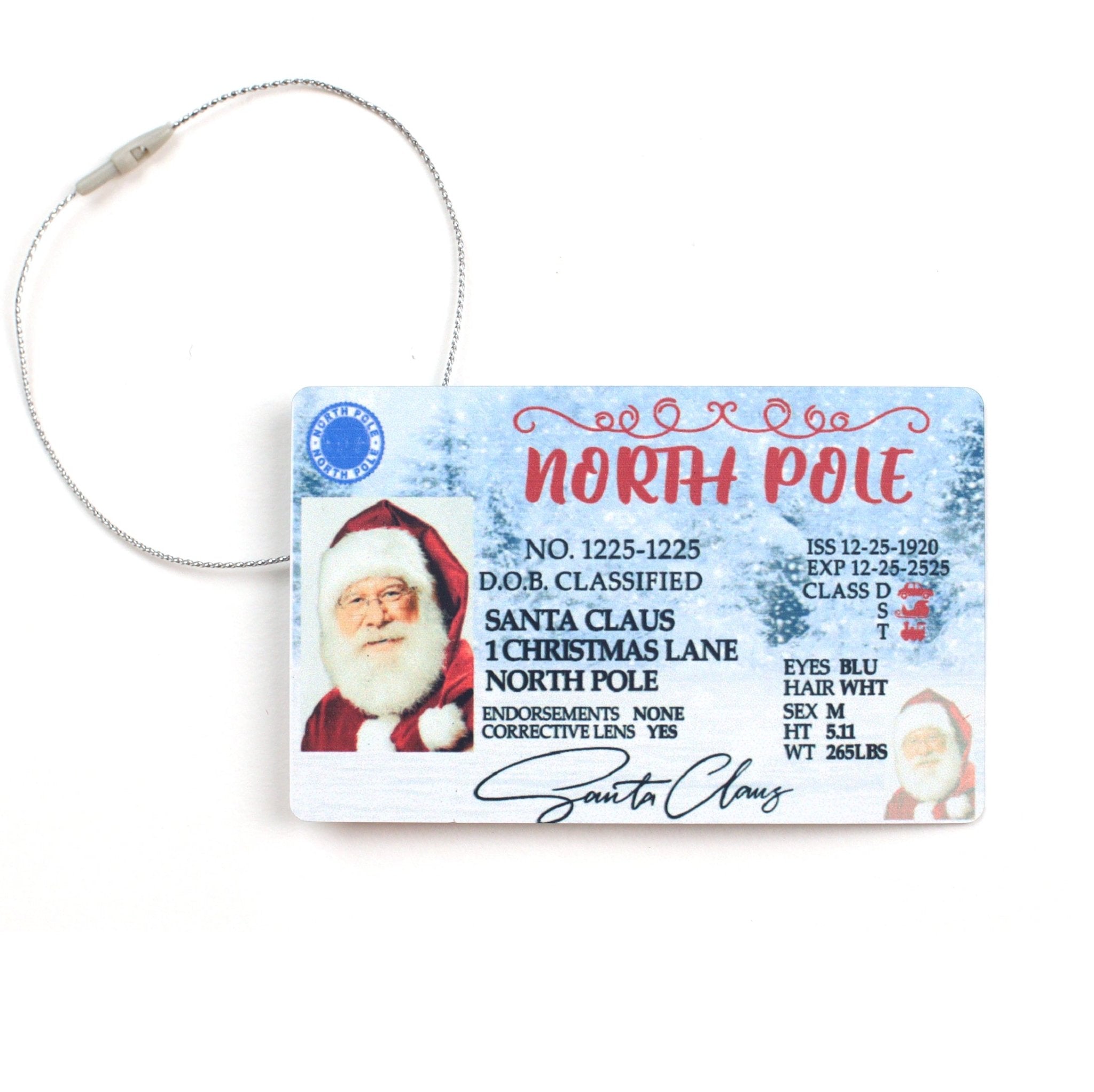 Santa Sleigh Metal Flying License - MODA FLORA Santa's Workshop